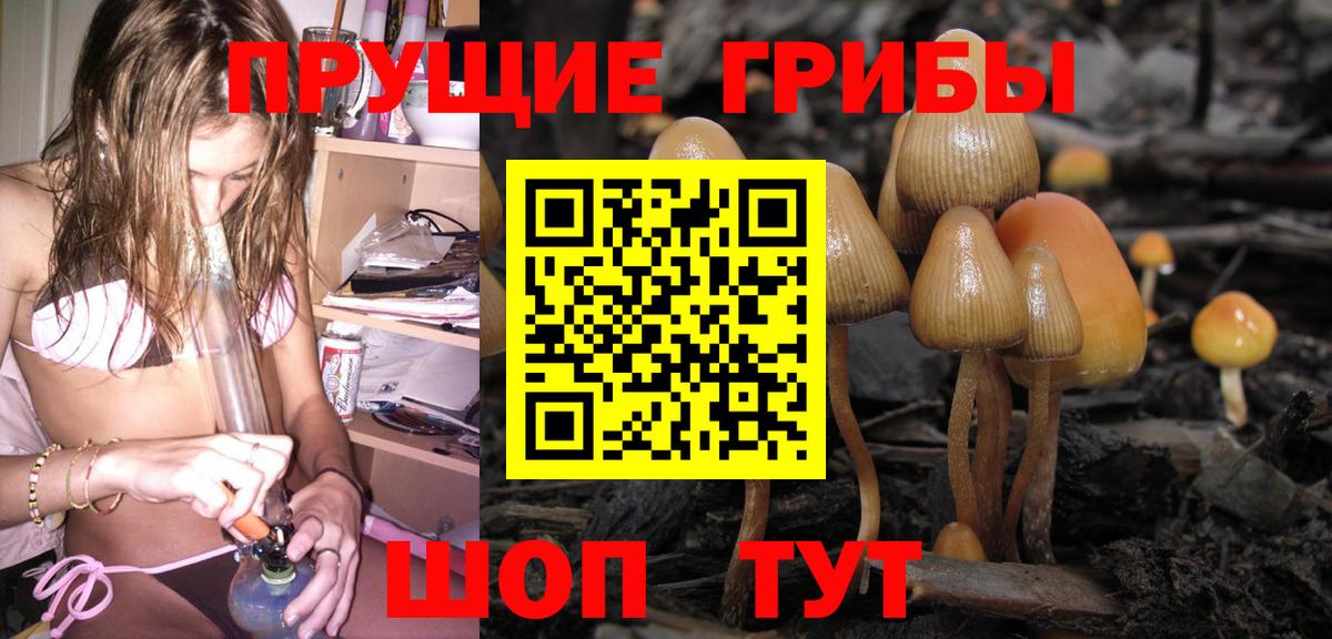 Псилоцибиновые грибы GOLDEN TEACHER Пыть-Ях