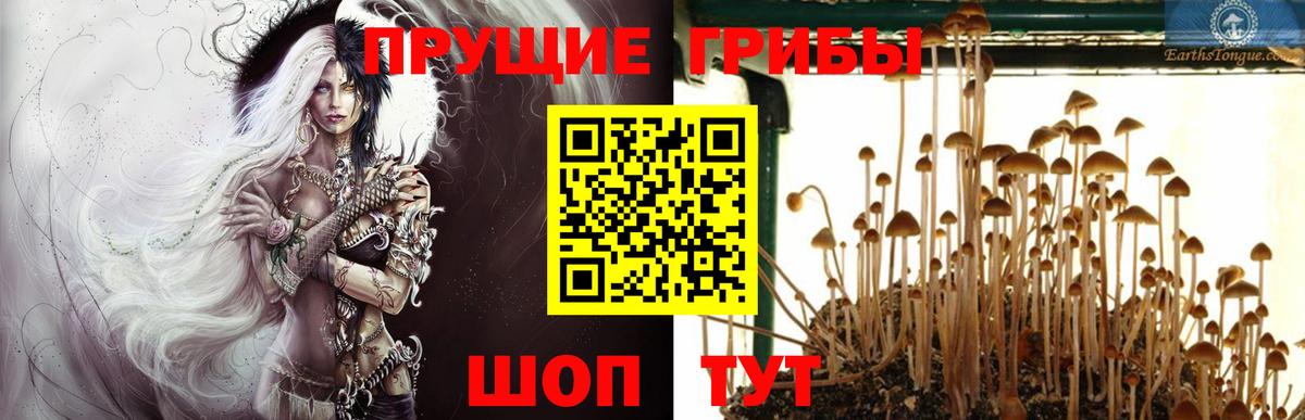 Пыть-Ях  Галлюциногенные грибы MAGIC MUSHROOMS  Вход с VPN  Псилоцибиновые грибы MAGIC MUSHROOMS 